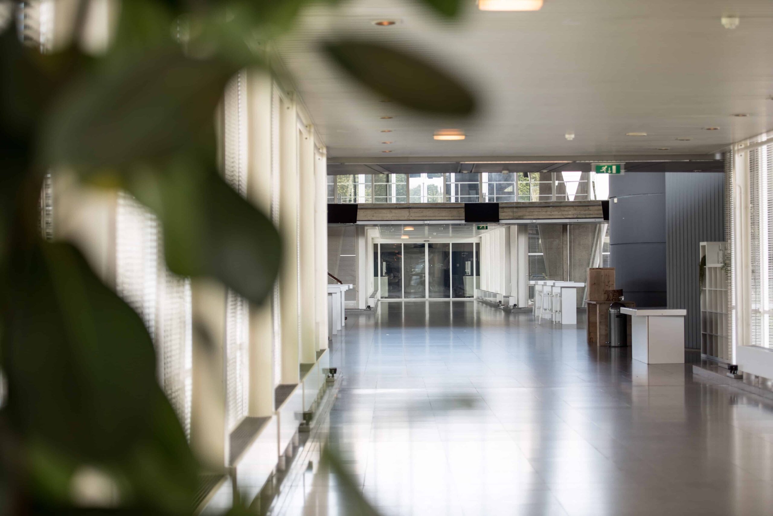 Outplacement, Loopbaanbegeleiding en Assessments