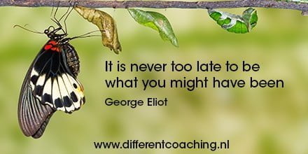 Ontwikkeladvies_Different_Coaching